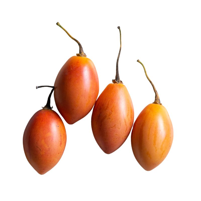 Tomate de Arbol
