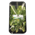 Rugula Bolsa (250 g)