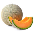 Melon Cantaloupe