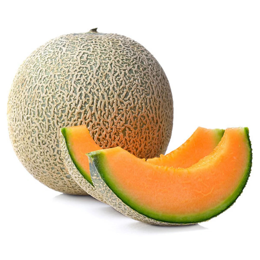 Melon Cantaloupe