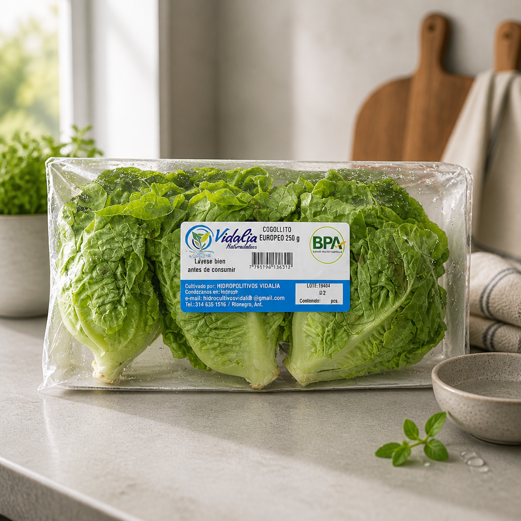Cogollo Europeo Vidalia
