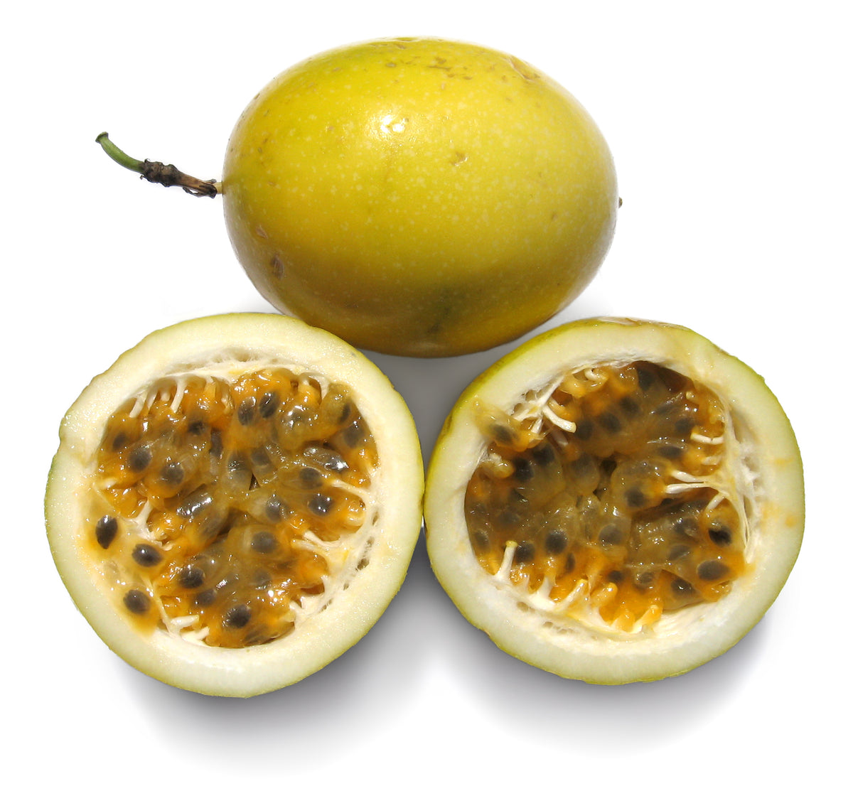 Maracuya