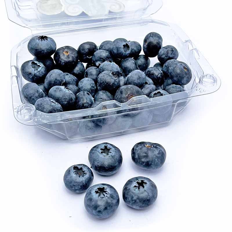 Arandano (125 g)