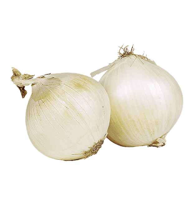 Cebolla Cabeza