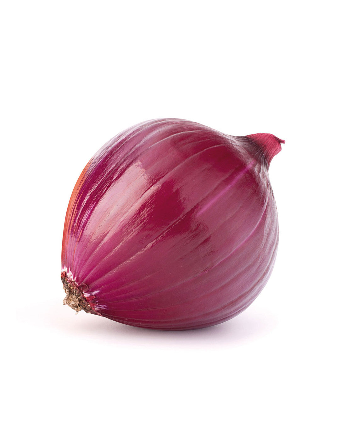 Cebolla Roja