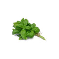 Albahaca Fresca en Bolsa (50 g)