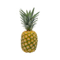 Piña Oromiel