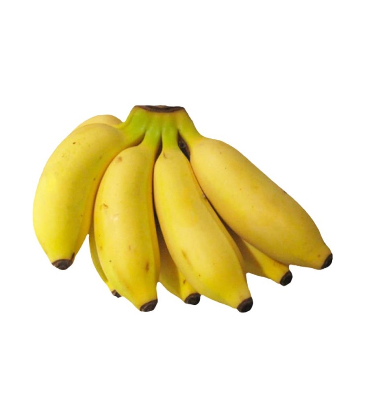 Murrapo
