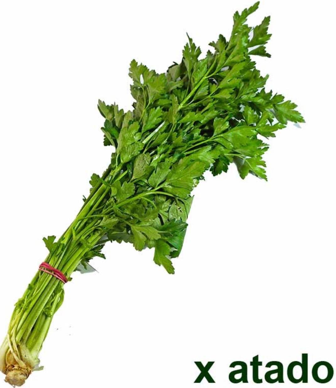 Perejil Liso Atado (100 g)