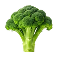 Brocoli