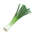 Cebolla Puerro