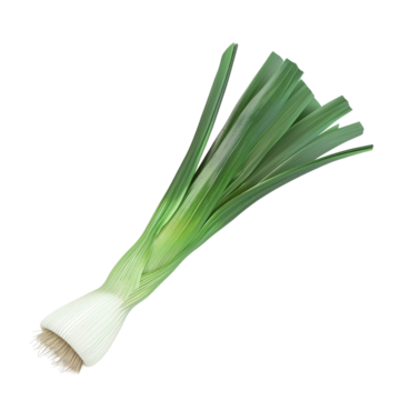 Cebolla Puerro
