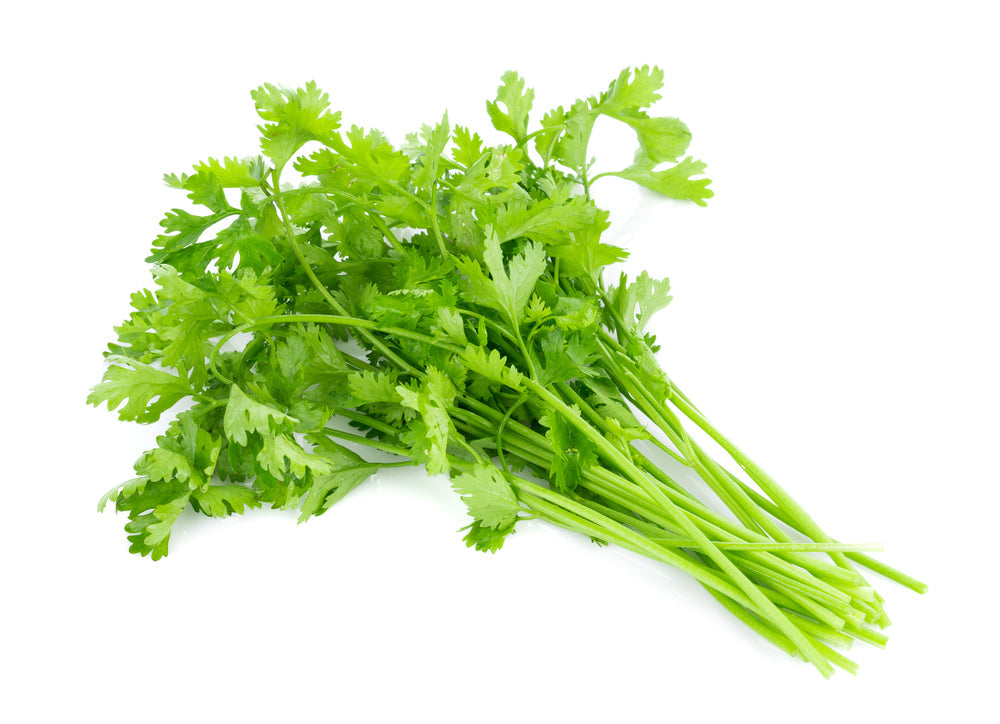 Cilantro Fresco (100 g)