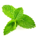 Menta Bolsa (50 g)