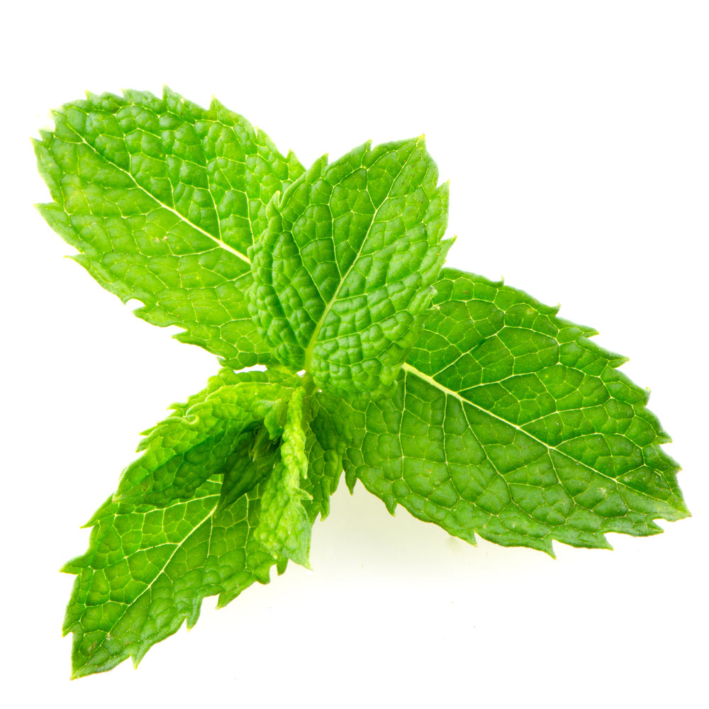 Menta Bolsa (50 g)